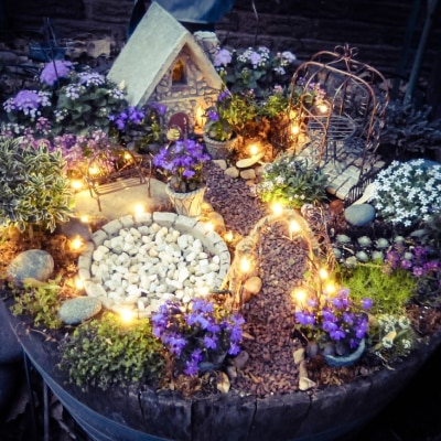 FAIRY DISH GARDENS